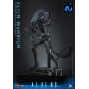 Hot Toys - Aliens  -  Alien Warrior v2 MMS, escala 1/6