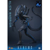 Hot Toys - Aliens  -  Alien Warrior v2 MMS, escala 1/6