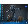 Hot Toys - Aliens  -  Alien Warrior v2 Deluxe MMS, escala 1/6