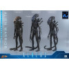 Hot Toys - Aliens  -  Alien Warrior v2 Deluxe MMS, escala 1/6