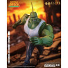 McFarlane - Savage Dragon (Serie Founders de Image Comics) - Edición Elite