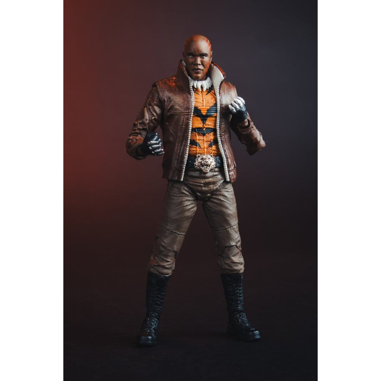 Mc Farlane - DC Multiverse - Bronze Tiger (New 52) 1/12