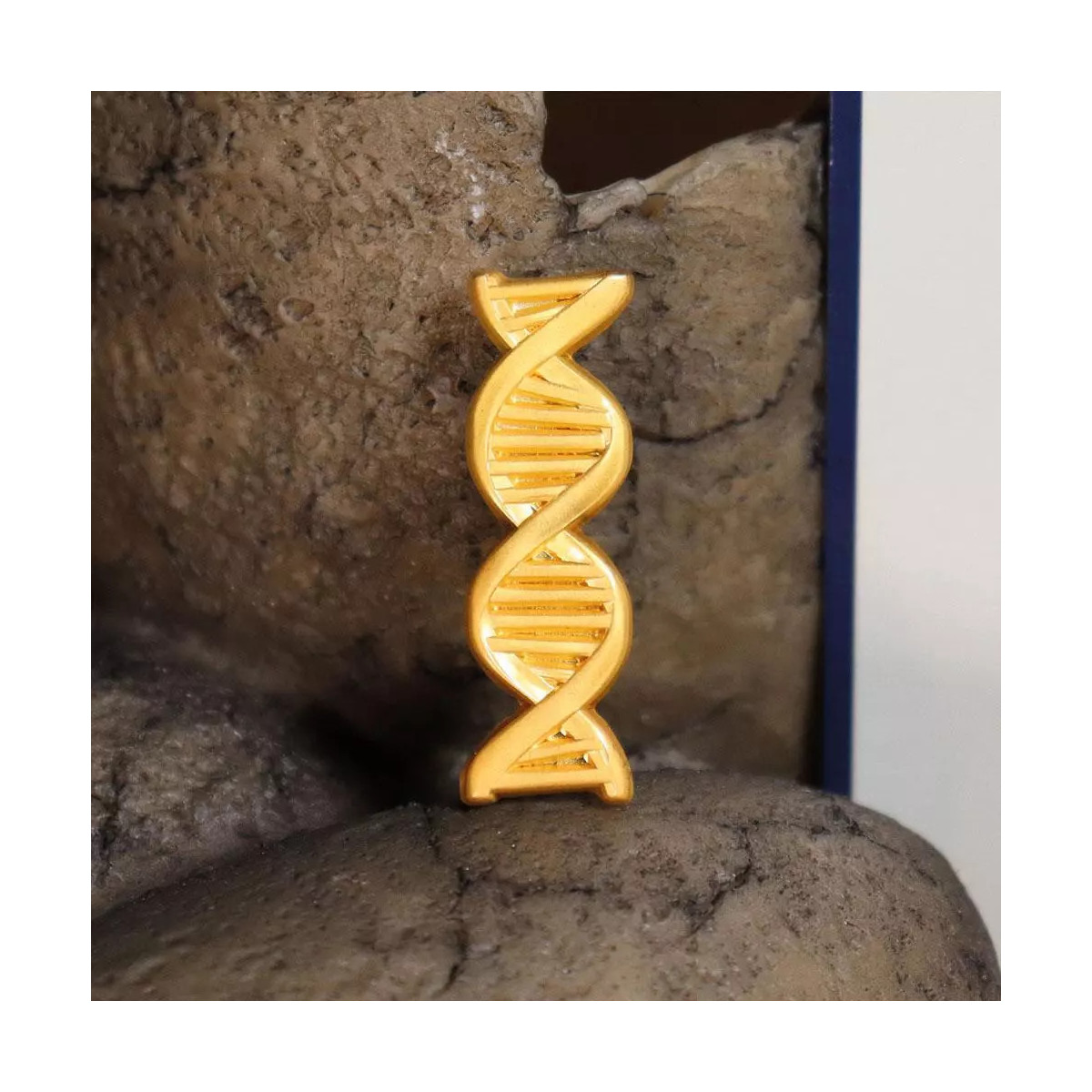 FaNaTtiK - Premio al Servicio del Laboratorio de Genética « Jurassic Park »