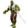 Hasbro Marvel Legends Serie - « » - «Spider-Man: Brand New Day» Hulk