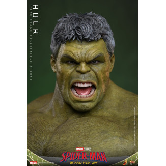 Hot Toys - Hulk 1/6 MMS905 - Spider-Man de Marvel: Brand New Day