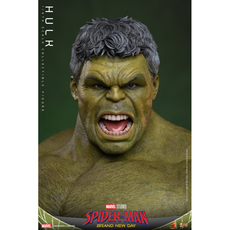 Hot Toys - Hulk 1/6 MMS905 - Spider-Man de Marvel: Brand New Day