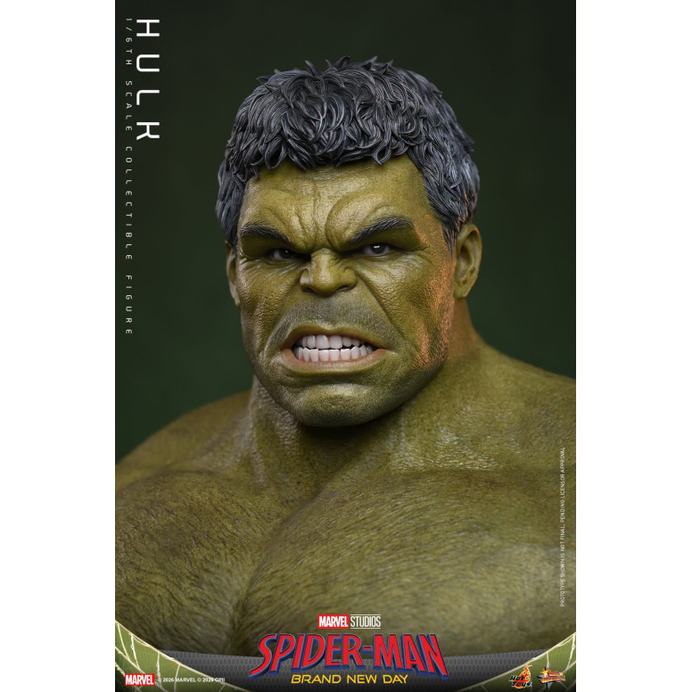 Hot Toys - Hulk 1/6 MMS905 - Spider-Man de Marvel: Brand New Day