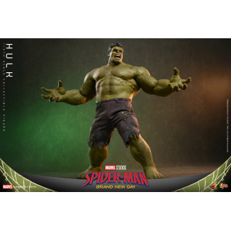 Hot Toys - Hulk 1/6 MMS905 - Spider-Man de Marvel: Brand New Day