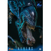 Hot Toys - 40.º aniversario de «Aliens» - REINA ALIEN  1/6