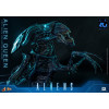 Hot Toys - 40.º aniversario de «Aliens» - REINA ALIEN  1/6