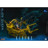Hot Toys - 40.º aniversario de «Aliens» - REINA ALIEN  1/6
