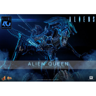 Hot Toys - 40.º aniversario de «Aliens» - REINA ALIEN  1/6