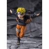 Bandai Tamashi Nation SH Figuarts SHF - Naruto Uzumaki - The Power To Unite - Naruto Shippuden