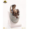 Toynami ECC Elite Creature Collectibles - Huevo de velociraptor a punto de eclosionar 1/1 - Jurassic Park