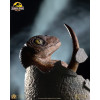 Toynami ECC Elite Creature Collectibles - Huevo de velociraptor a punto de eclosionar 1/1 - Jurassic Park
