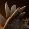 Iron Studios - Estegosaurio - « Jurassic Park: The Lost World Icons»