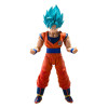 Bandai Tamashii - o Super - Super Saiyan God Super Saiyan Son Goku  (El poder azul que trasciende los límites) - Dragon Ball SHF