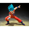 Bandai Tamashii - o Super - Super Saiyan God Super Saiyan Son Goku  (El poder azul que trasciende los límites) - Dragon Ball SHF