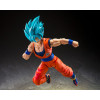 Bandai Tamashii - o Super - Super Saiyan God Super Saiyan Son Goku  (El poder azul que trasciende los límites) - Dragon Ball SHF