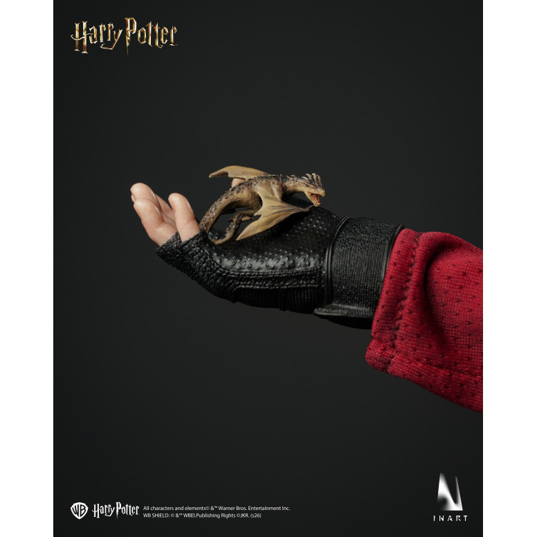 INART - Harry Potter y el cáliz de fuego - Figura coleccionable de Harry Potter a escala 1/6