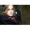 Harry Potter écharpe Gryffondor