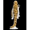 Sideshow Weta Pippin Peregrin Took Buste