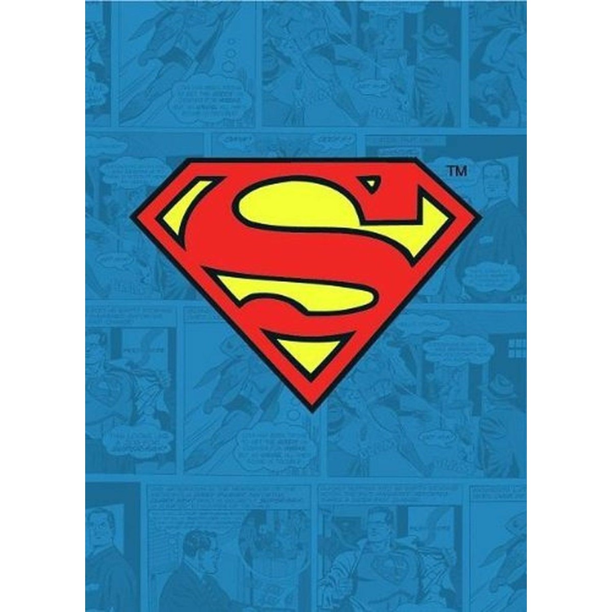 DC Comics - Batman Metal Magnet - Crime Fighter