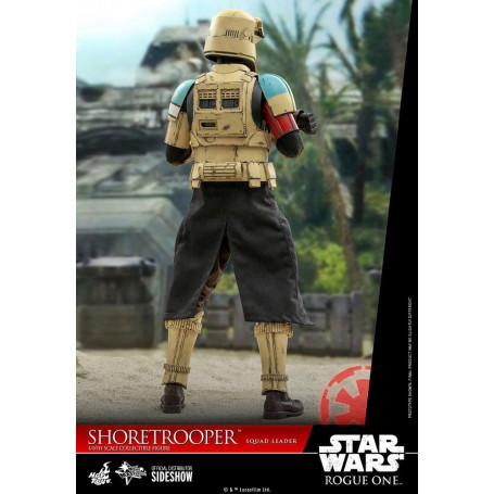 Hot Toys Star Wars Rogue One - Líder de escuadrón de horóscopos