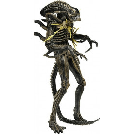 NECA ALIENS - Guerrero Xenomorfo Marrón dañado en batalla Serie 12