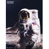 Blitzway - Astronauta Apolo 11: LM-5 A7L ver. 1/4 - Hybrid Superb Scale