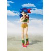Bandai Tamashii - DRAGON BALL - Almuerzo - SHF SHFiguarts