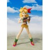 Bandai Tamashii - DRAGON BALL - Almuerzo - SHF SHFiguarts