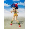 Bandai Tamashii - DRAGON BALL - Almuerzo - SHF SHFiguarts