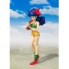 Bandai Tamashii - DRAGON BALL - Almuerzo - SHF SHFiguarts