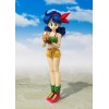 Bandai Tamashii - DRAGON BALL - Almuerzo - SHF SHFiguarts