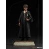 Iron Studios - Harry Potter en la Escuela de Magos BDS Art Scale 1/10