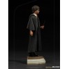 Iron Studios - Harry Potter en la Escuela de Magos BDS Art Scale 1/10