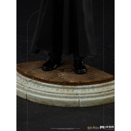 Iron Studios - Harry Potter en la Escuela de Magos BDS Art Scale 1/10