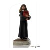Iron Studios - Harry Potter en la Escuela de Magos - Hermione Granger BDS Art Scale 1/10