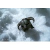Pure Arts - Dragonborn Deluxe Edition - The Elder Scrolls V Skyrim figura 1/6