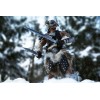 Pure Arts - Dragonborn Deluxe Edition - The Elder Scrolls V Skyrim figura 1/6