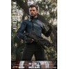 Hot Toys Marvel - Winter Soldier 1/6 - El Halcón y el Soldado de Invierno