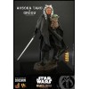 Hot Toys Star Wars - Ahsoka Tano y Grogu- La mandaloriana 1/6