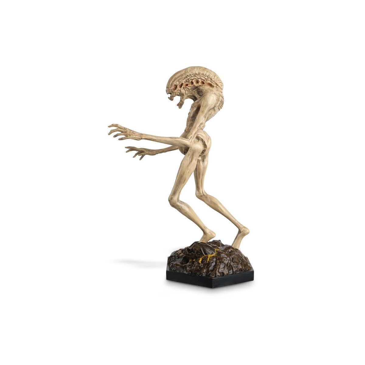 Eaglemoss - La colección de figuras de acción de Alien y Predator - Recién nacido 1/16