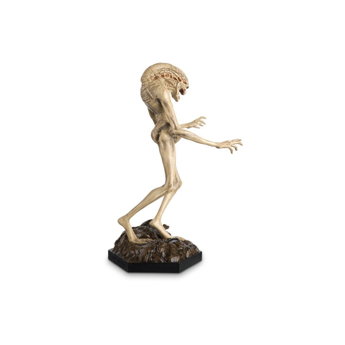Eaglemoss - La colección de figuras de acción de Alien y Predator - Recién nacido 1/16
