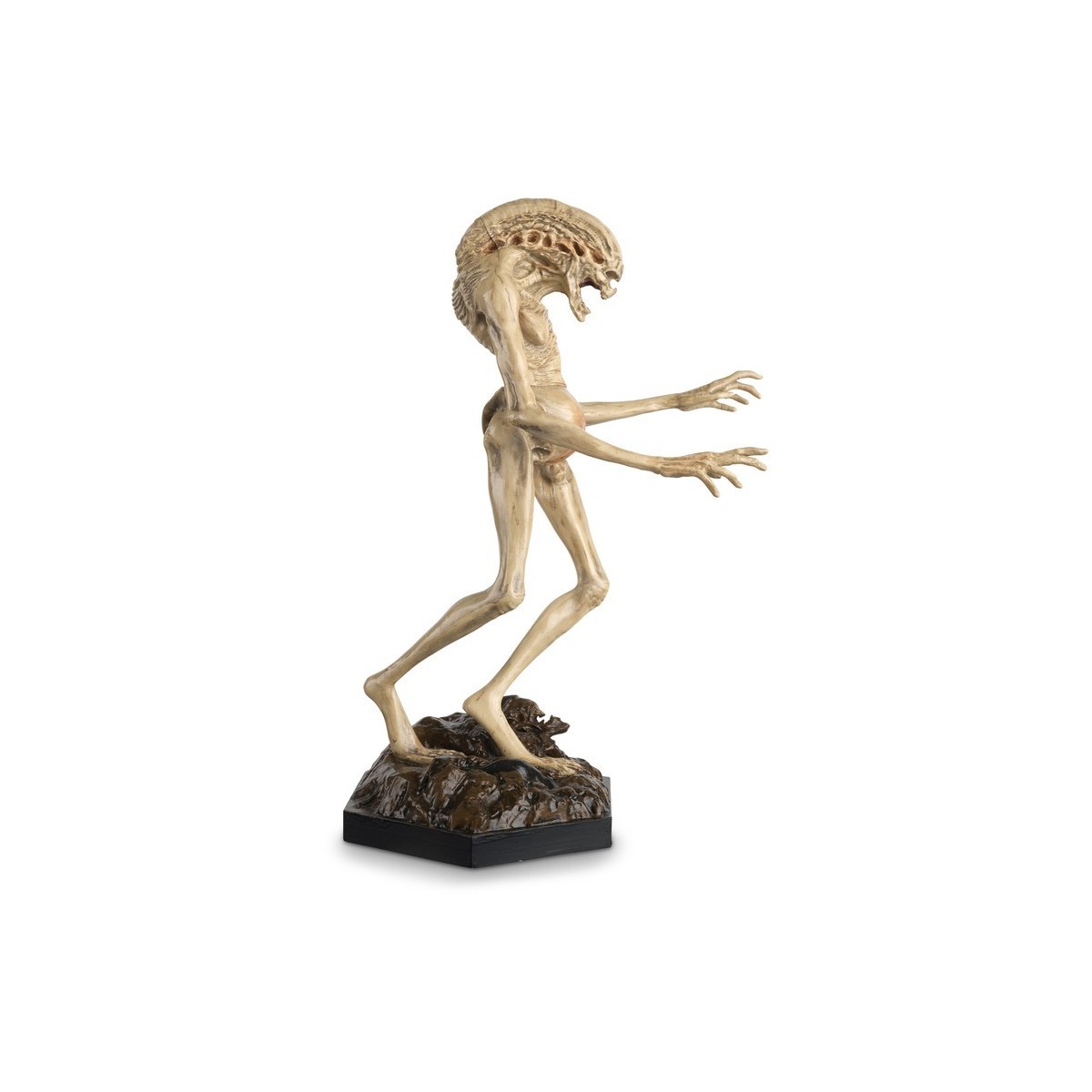 Eaglemoss - La colección de figuras de acción de Alien y Predator - Recién nacido 1/16