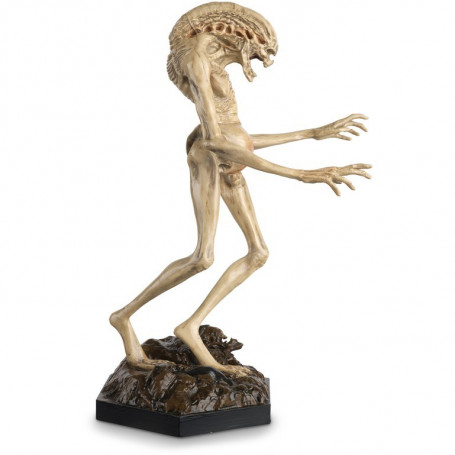 Eaglemoss - La colección de figuras de acción de Alien y Predator - Recién nacido 1/16