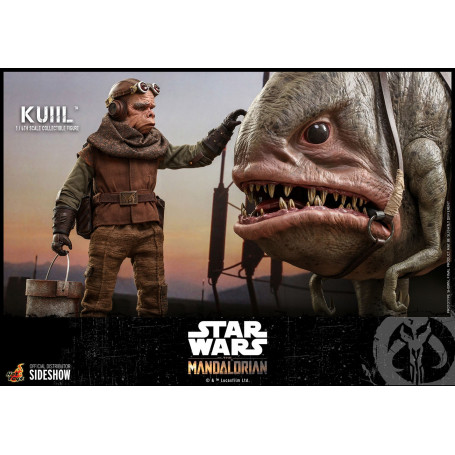 Hot Toys MMS Star Wars The Mandalorian - Kuiil 1/6