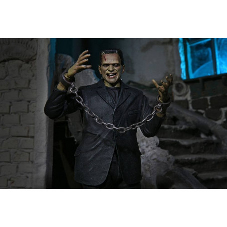 NECA - El Monstruo de Frankenstein en versión color - Universal Monsters