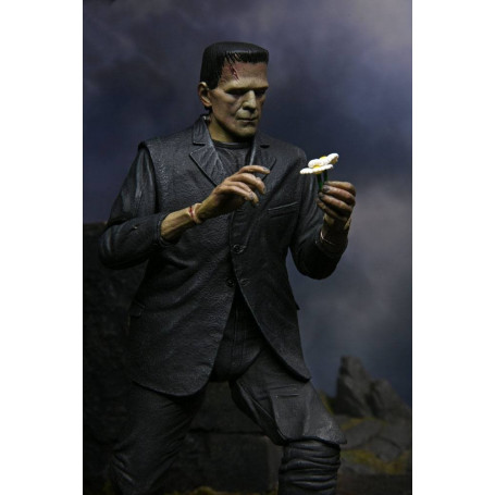 NECA - El Monstruo de Frankenstein en versión color - Universal Monsters